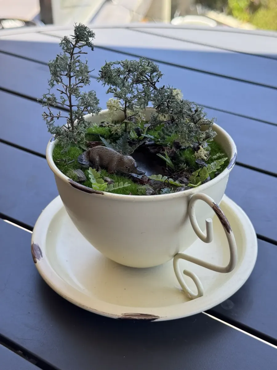 Miniature Platypus Teacup Garden